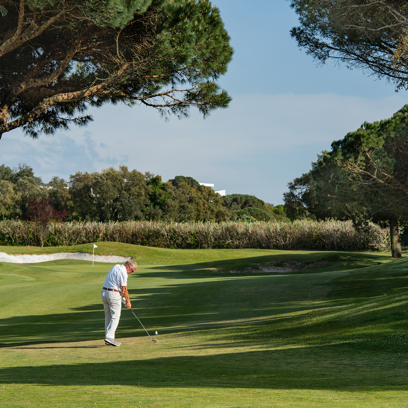 ALZE-Golfdaro-4
